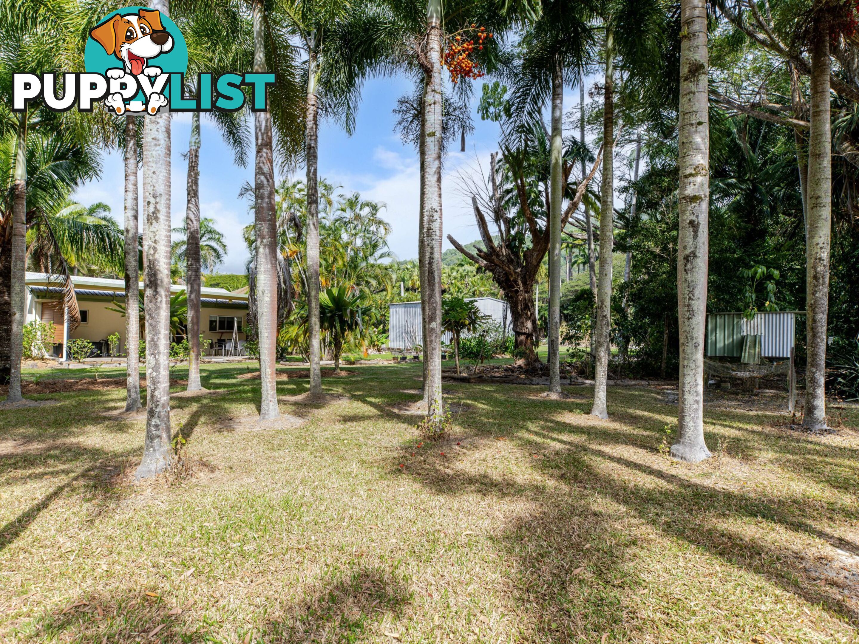 9 Palm Avenue MOWBRAY QLD 4877
