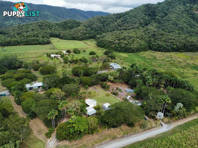 9 Palm Avenue MOWBRAY QLD 4877