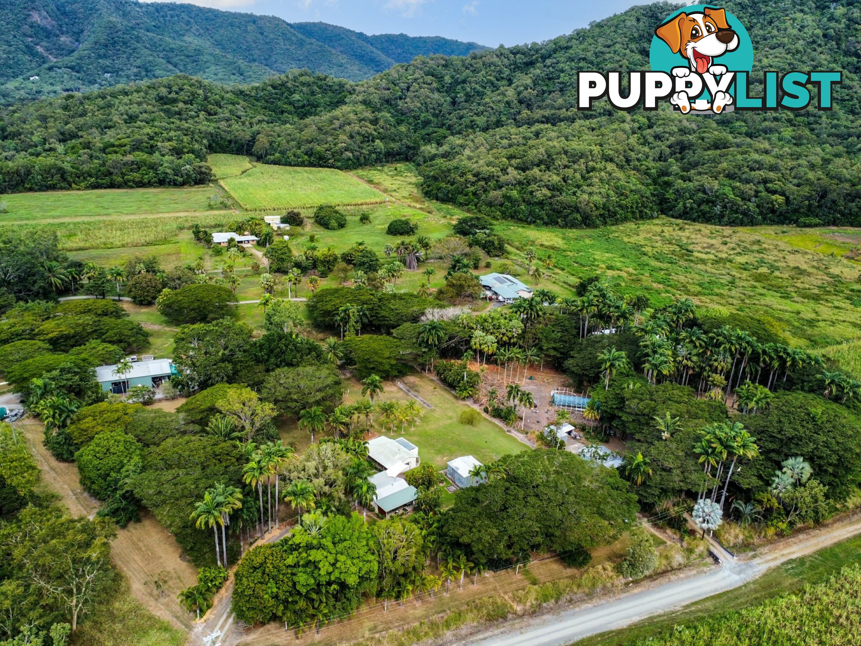 9 Palm Avenue MOWBRAY QLD 4877