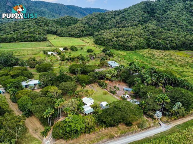 9 Palm Avenue MOWBRAY QLD 4877