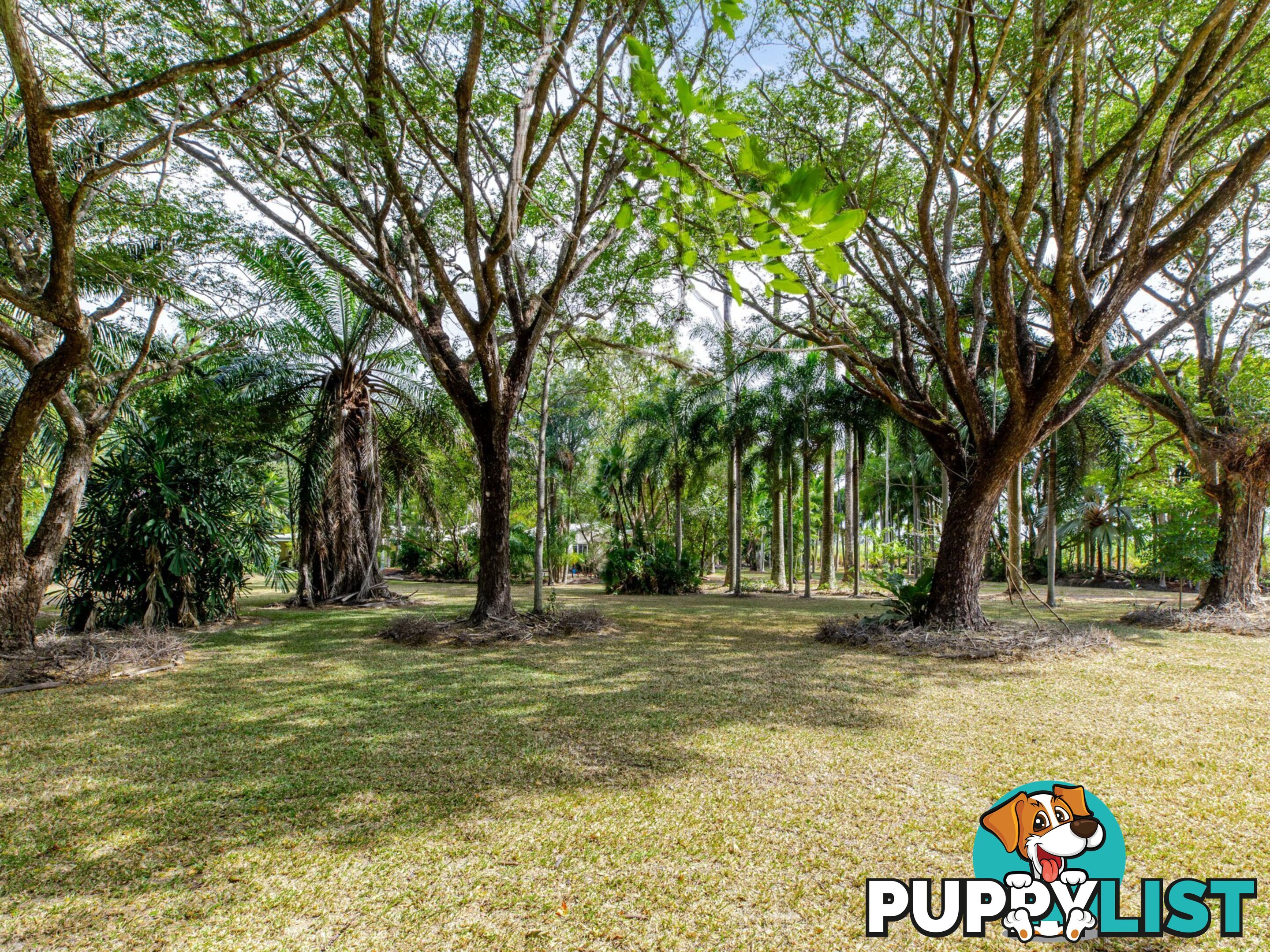 9 Palm Avenue MOWBRAY QLD 4877