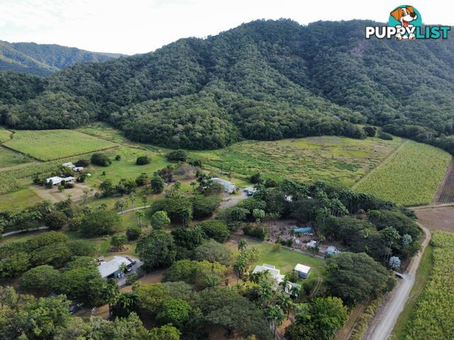 9 Palm Avenue MOWBRAY QLD 4877