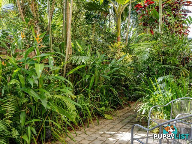 1/32 Mowbray Street PORT DOUGLAS QLD 4877