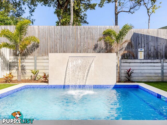 12 Camelia Court PALM COVE QLD 4879