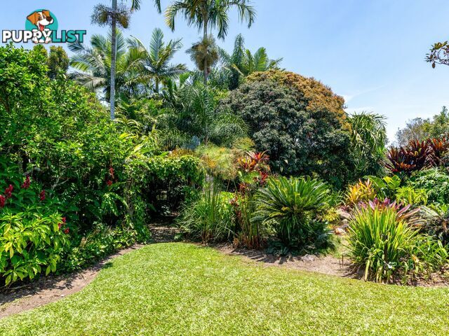 1253 Mossman Mount Molloy Road JULATTEN QLD 4871