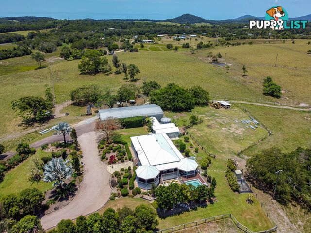 1253 Mossman Mount Molloy Road JULATTEN QLD 4871