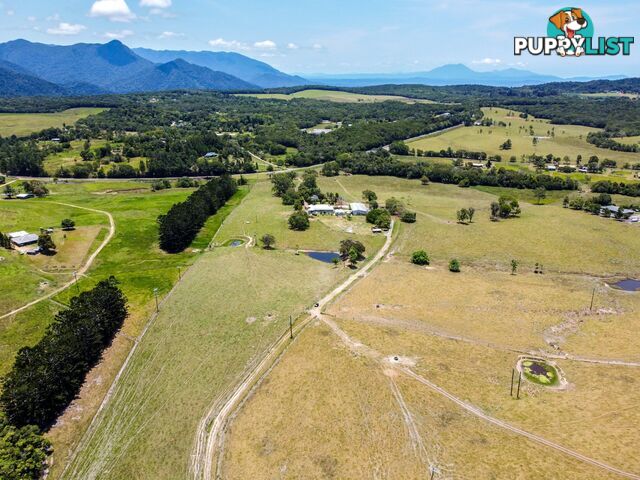 1253 Mossman Mount Molloy Road JULATTEN QLD 4871