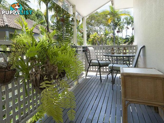 29 Reef Resort/121 Port Douglas Road PORT DOUGLAS QLD 4877