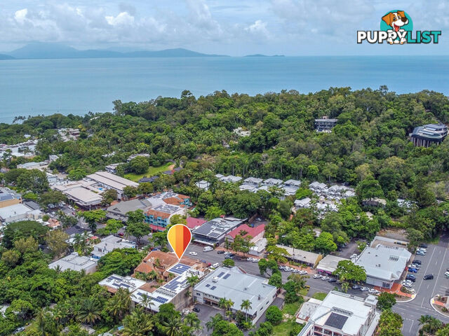 30 Villa San Michele/41 Macrossan Street PORT DOUGLAS QLD 4877