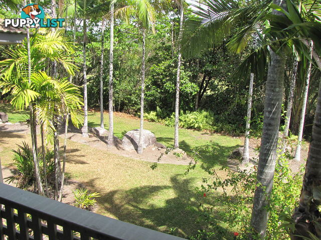 57 Reef Resort/121 Port Douglas Road PORT DOUGLAS QLD 4877