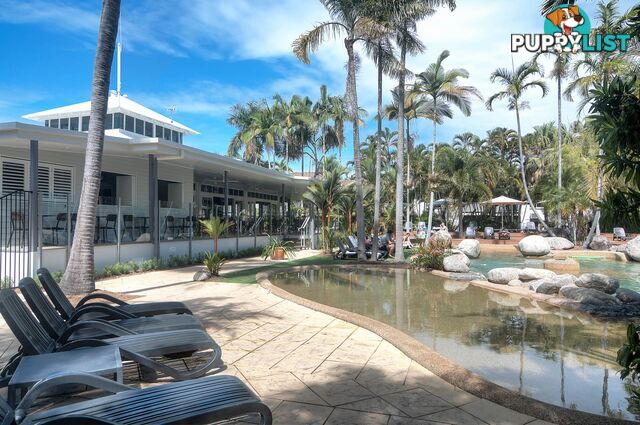 57 Reef Resort/121 Port Douglas Road PORT DOUGLAS QLD 4877