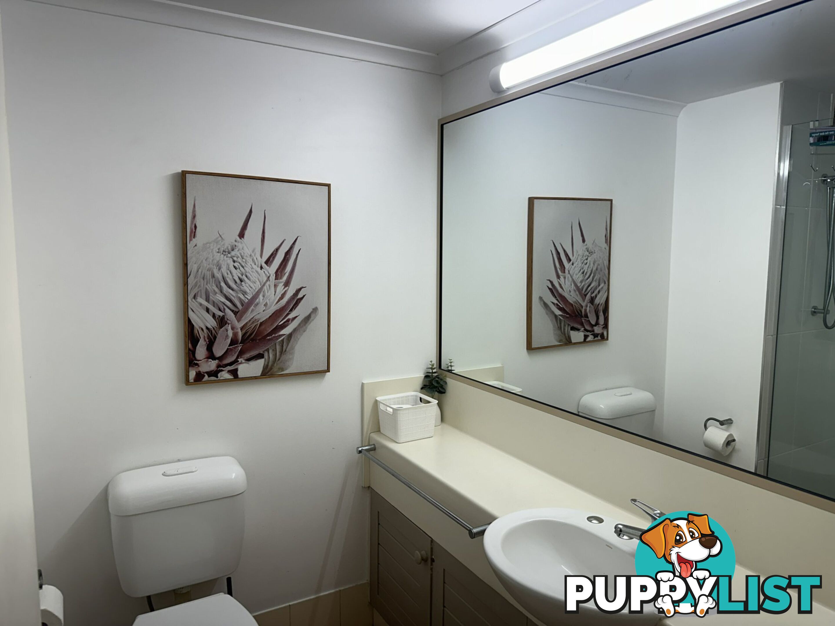 D230 Ramada/316 Port Douglas Road PORT DOUGLAS QLD 4877