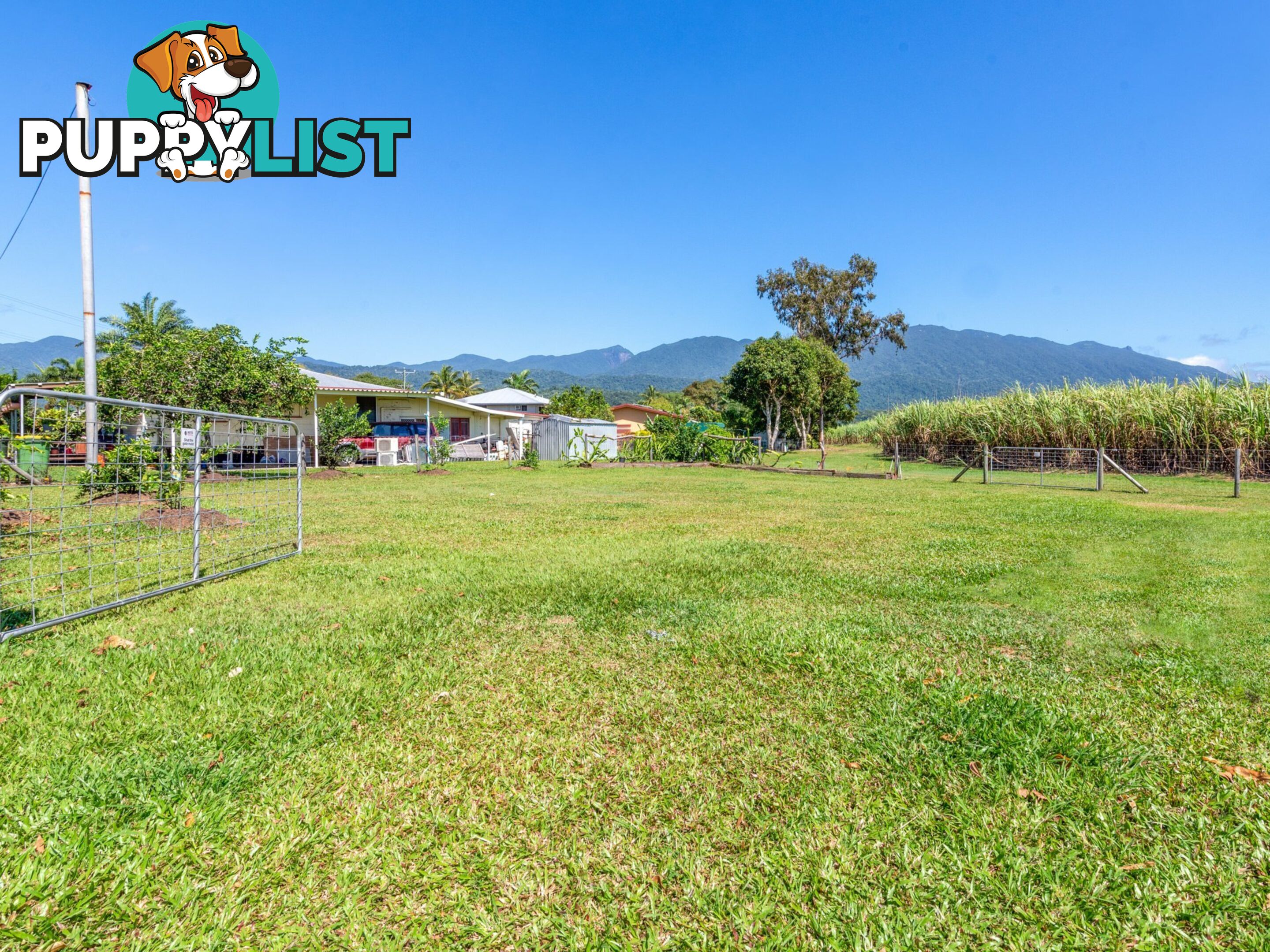 37 Cedars Street MOSSMAN QLD 4873