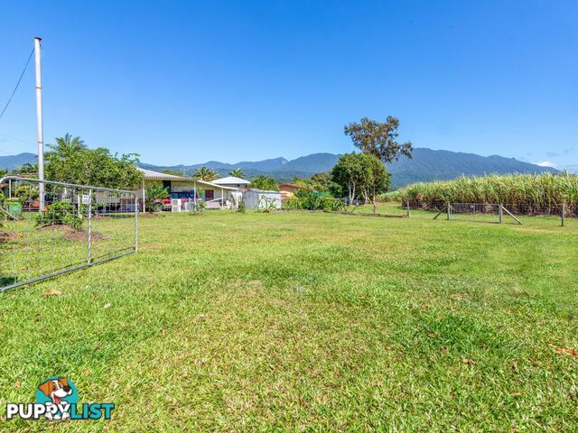 37 Cedars Street MOSSMAN QLD 4873