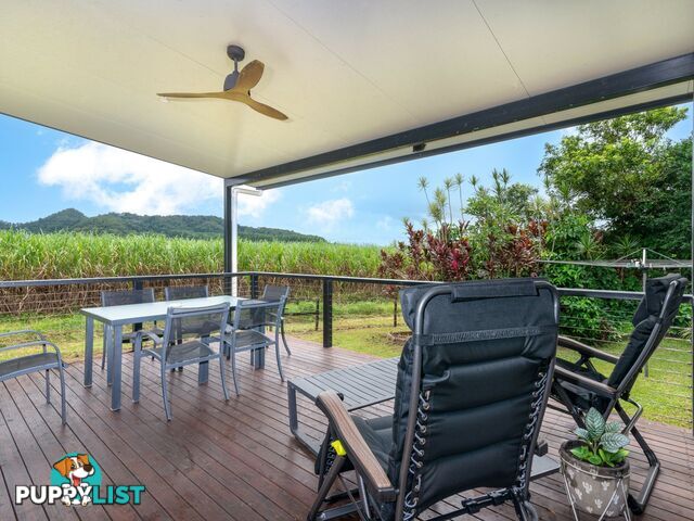 37 Cedars Street MOSSMAN QLD 4873