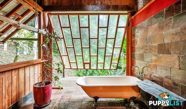 257 Cape Kimberley Road DAINTREE QLD 4873