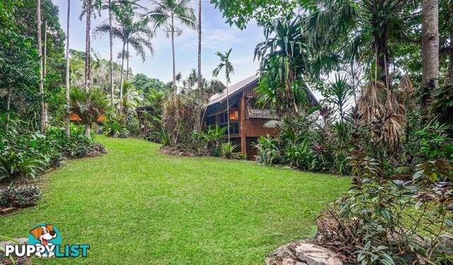 257 Cape Kimberley Road DAINTREE QLD 4873