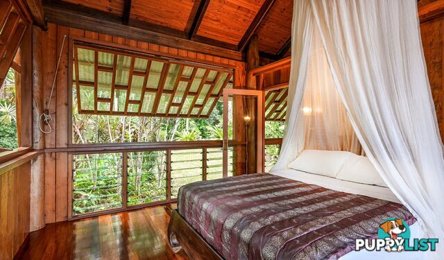 257 Cape Kimberley Road DAINTREE QLD 4873