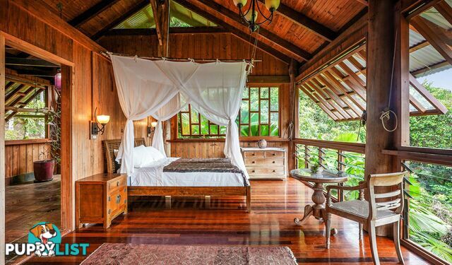 257 Cape Kimberley Road DAINTREE QLD 4873