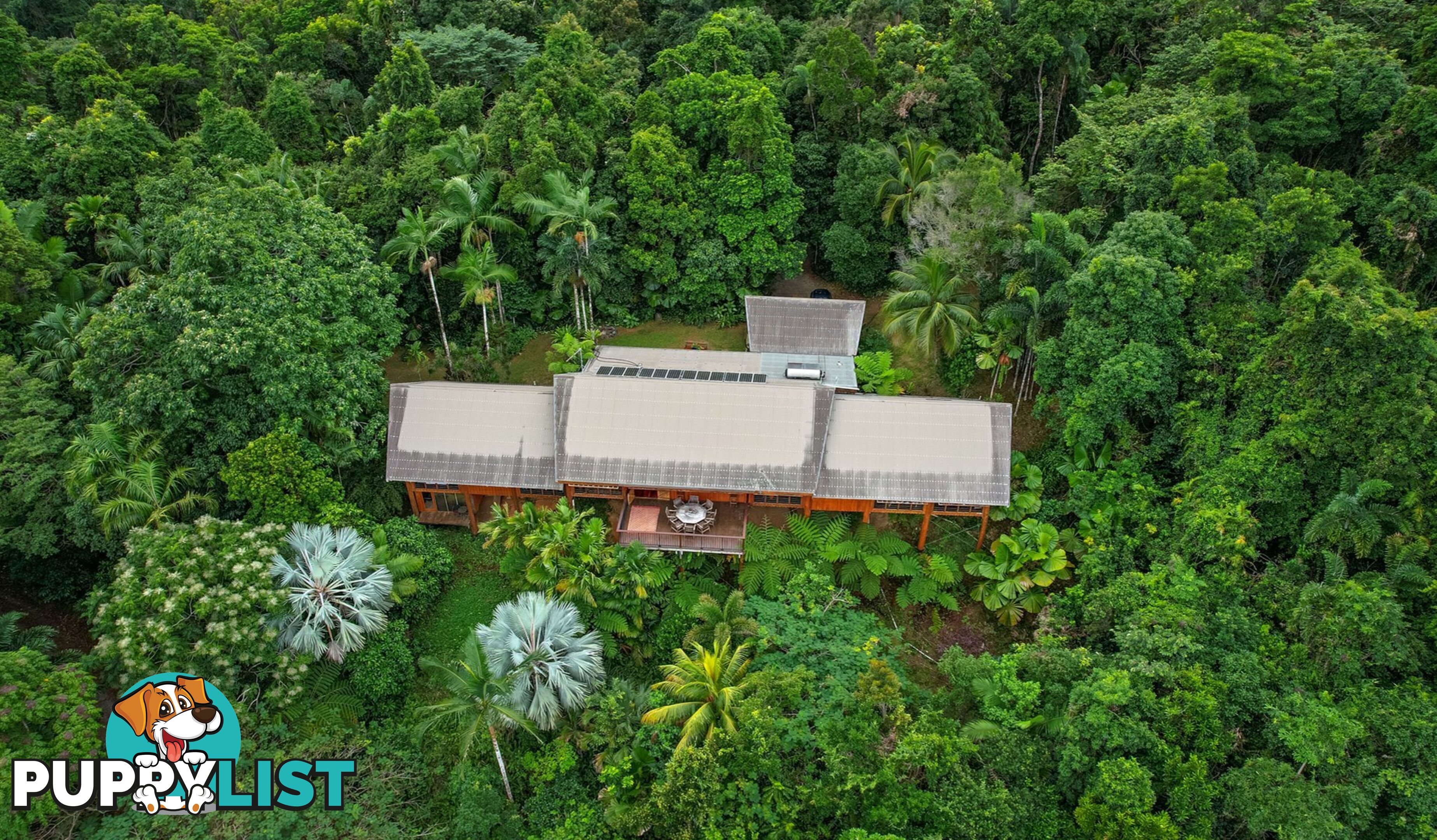257 Cape Kimberley Road DAINTREE QLD 4873