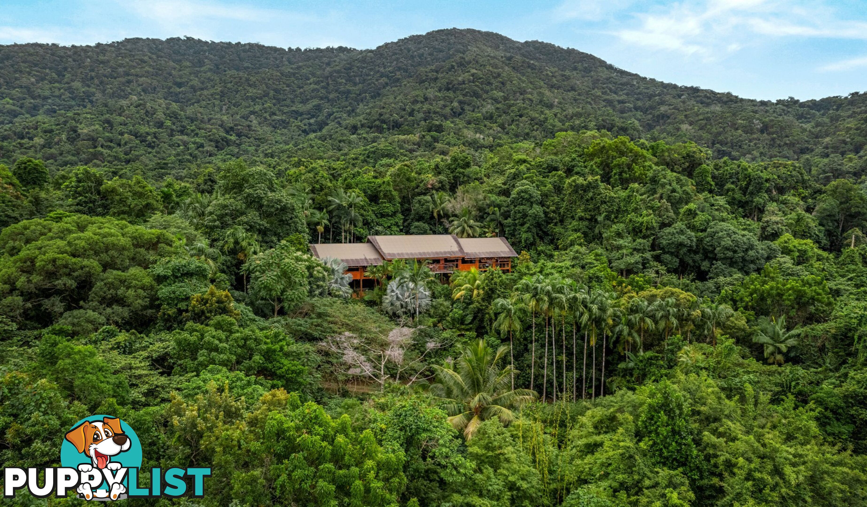 257 Cape Kimberley Road DAINTREE QLD 4873