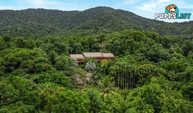 257 Cape Kimberley Road DAINTREE QLD 4873