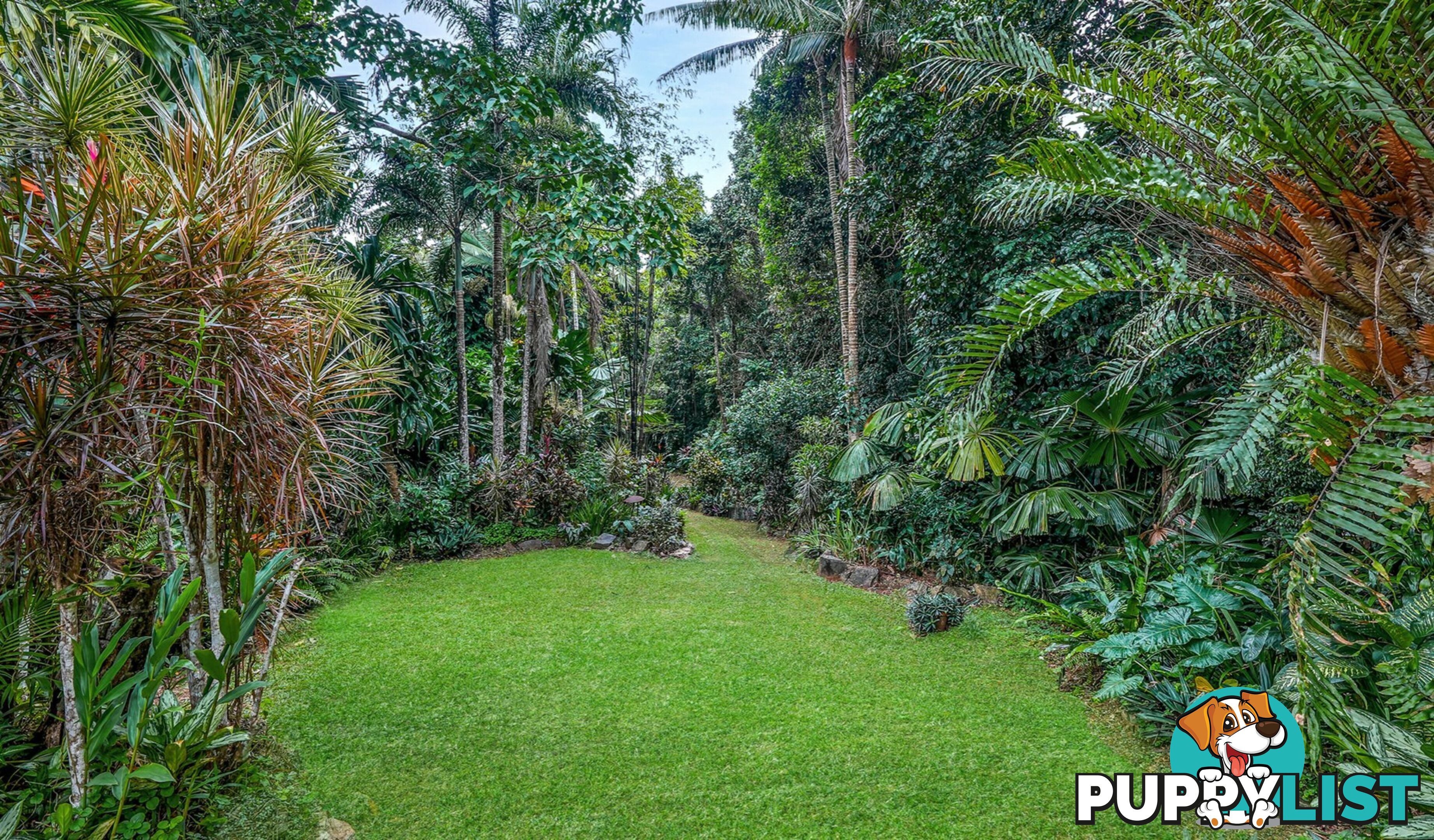 257 Cape Kimberley Road DAINTREE QLD 4873