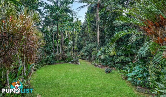 257 Cape Kimberley Road DAINTREE QLD 4873