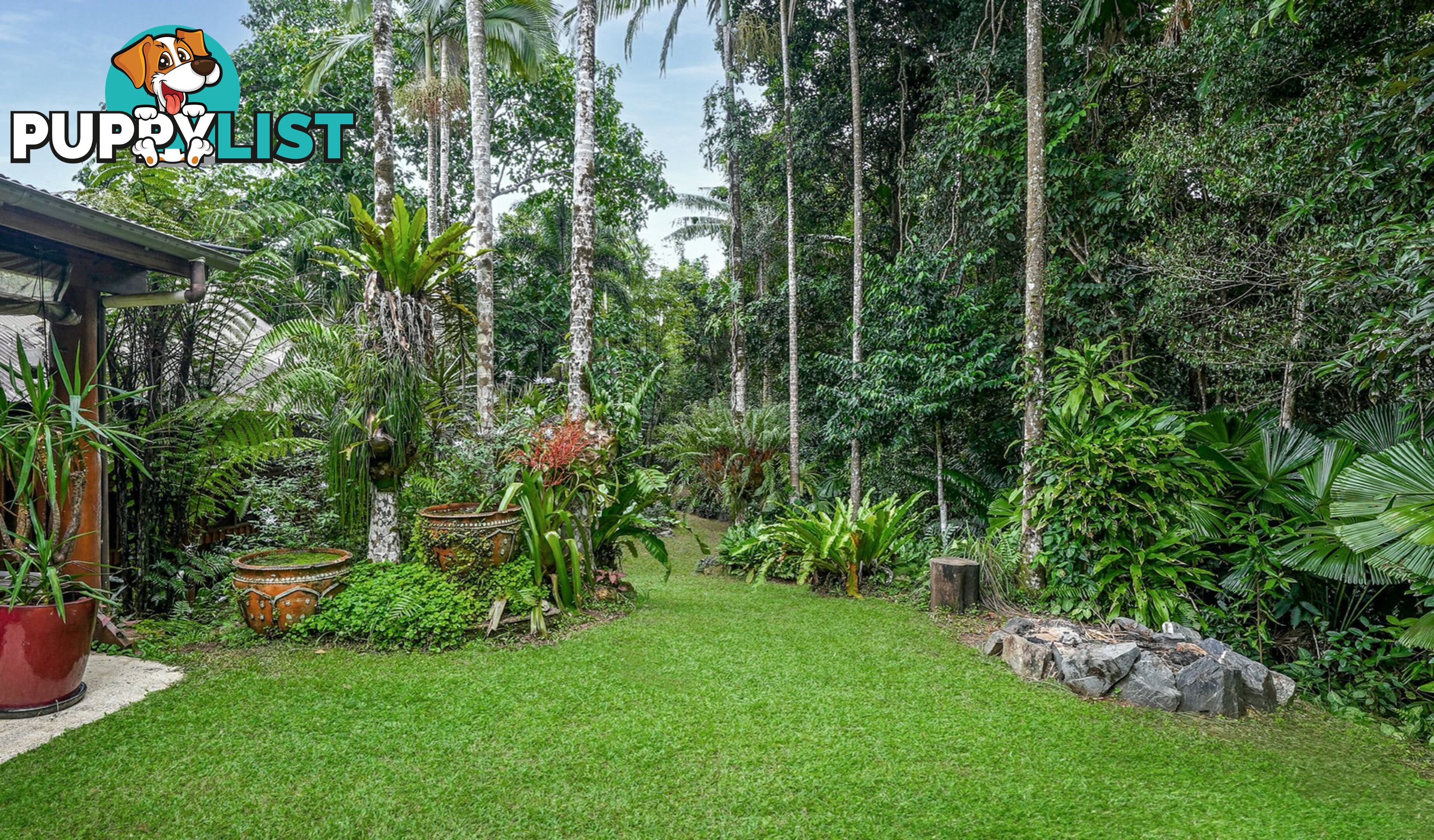 257 Cape Kimberley Road DAINTREE QLD 4873