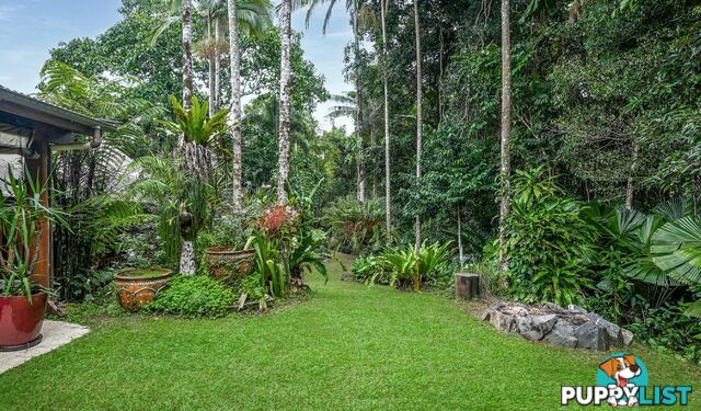257 Cape Kimberley Road DAINTREE QLD 4873