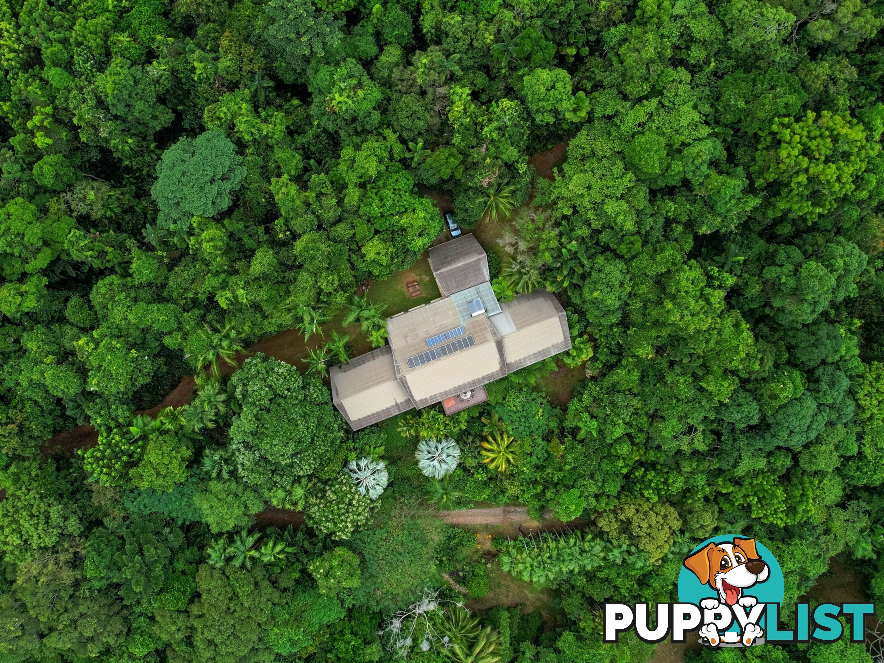 257 Cape Kimberley Road DAINTREE QLD 4873