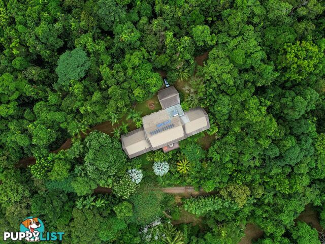 257 Cape Kimberley Road DAINTREE QLD 4873