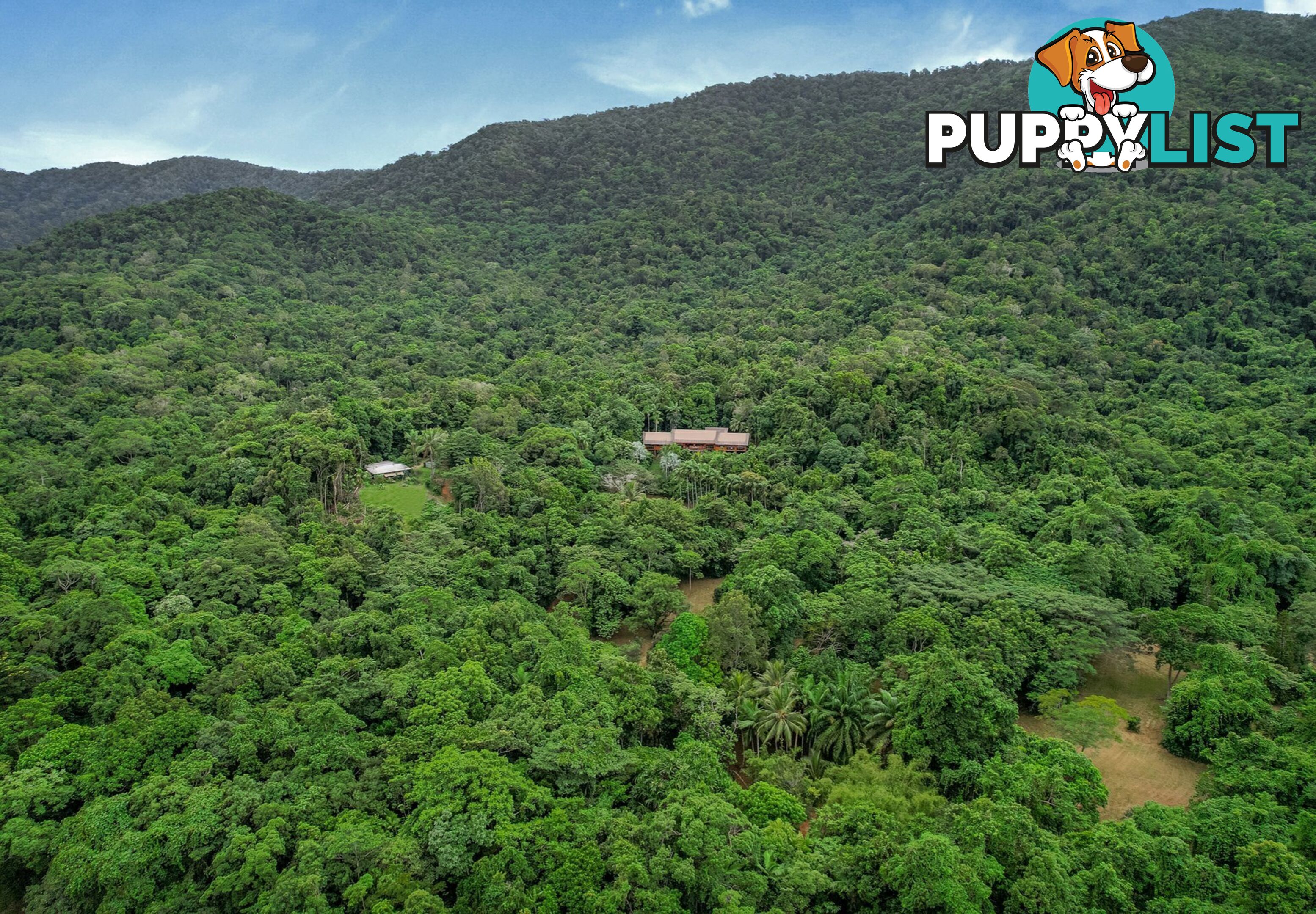 257 Cape Kimberley Road DAINTREE QLD 4873