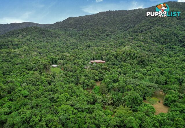 257 Cape Kimberley Road DAINTREE QLD 4873