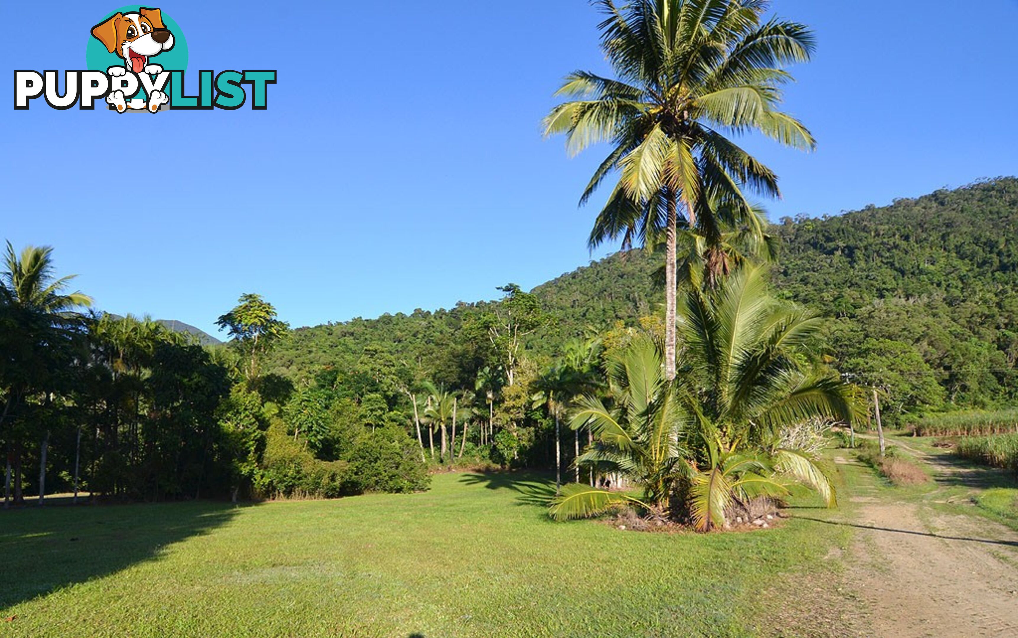 Lot 100 Finlayvale Road, Finlayvale MOSSMAN QLD 4873