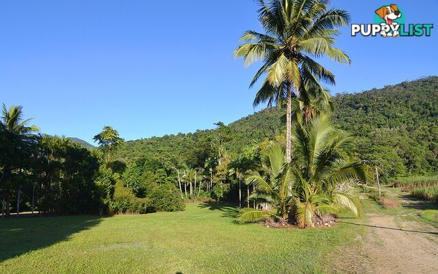 Lot 100 Finlayvale Road, Finlayvale MOSSMAN QLD 4873