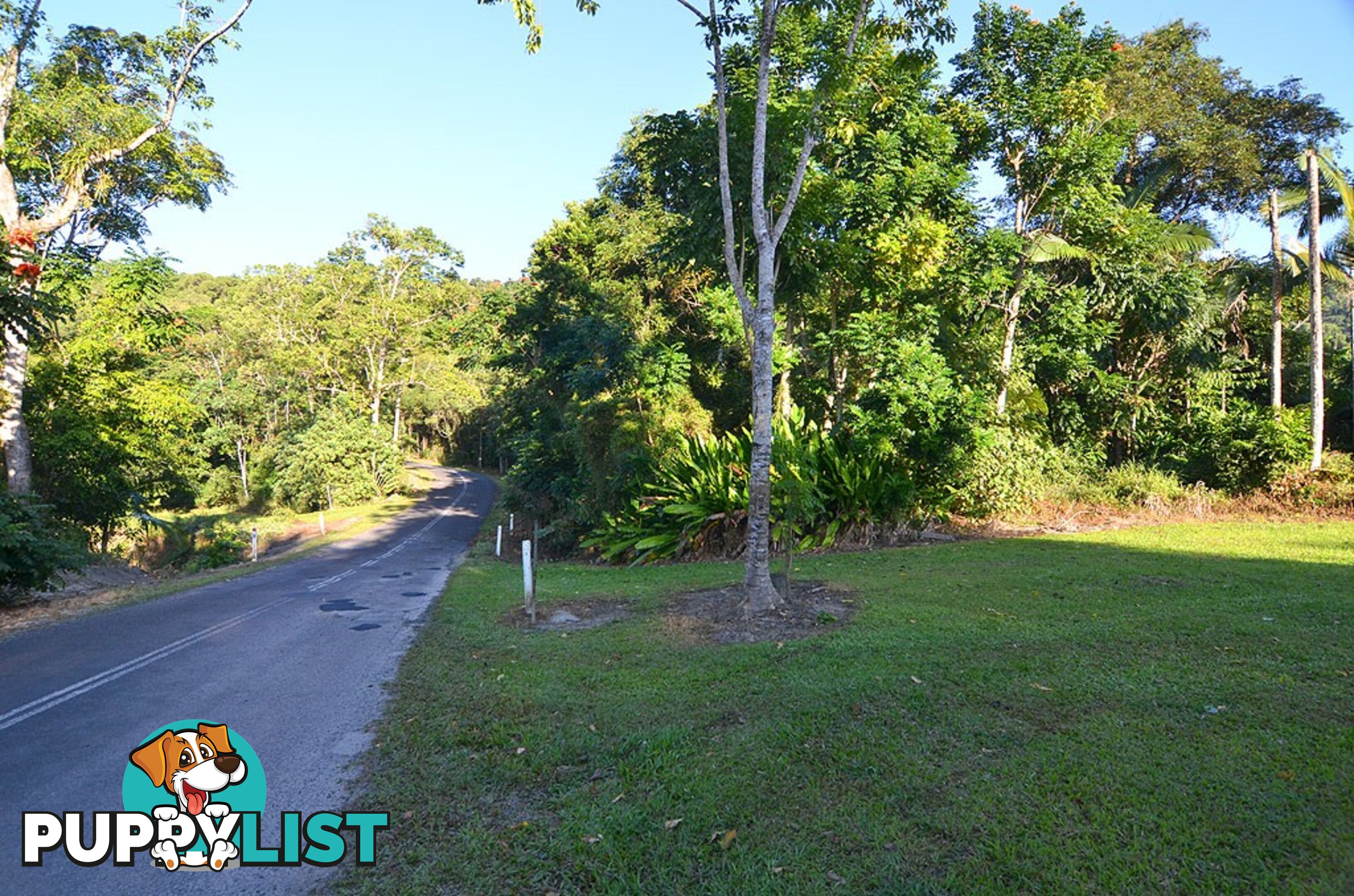 Lot 100 Finlayvale Road, Finlayvale MOSSMAN QLD 4873