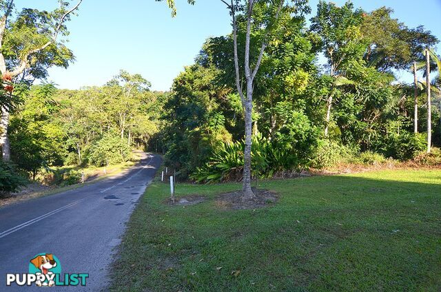 Lot 100 Finlayvale Road, Finlayvale MOSSMAN QLD 4873