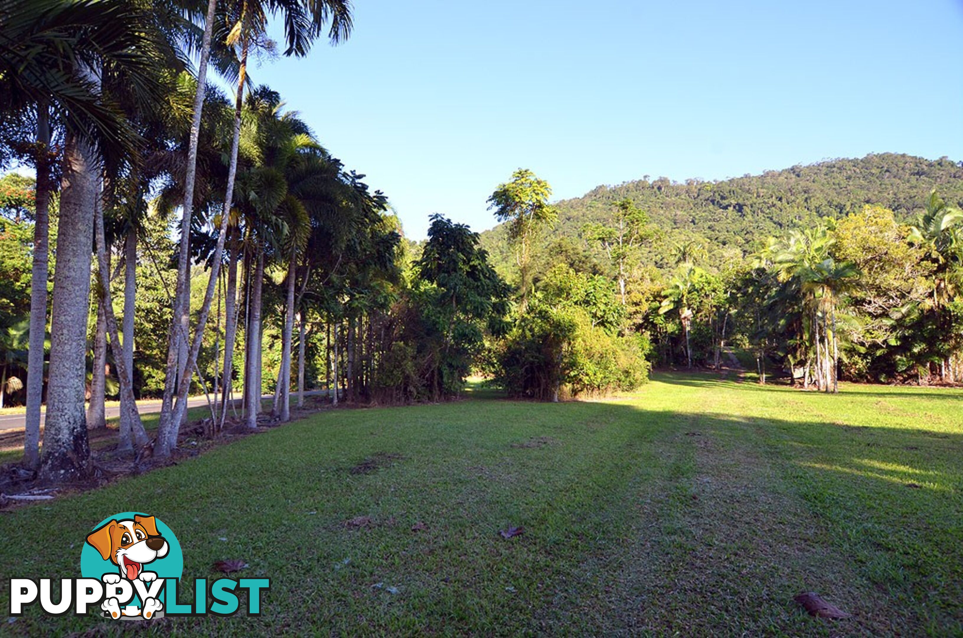 Lot 100 Finlayvale Road, Finlayvale MOSSMAN QLD 4873