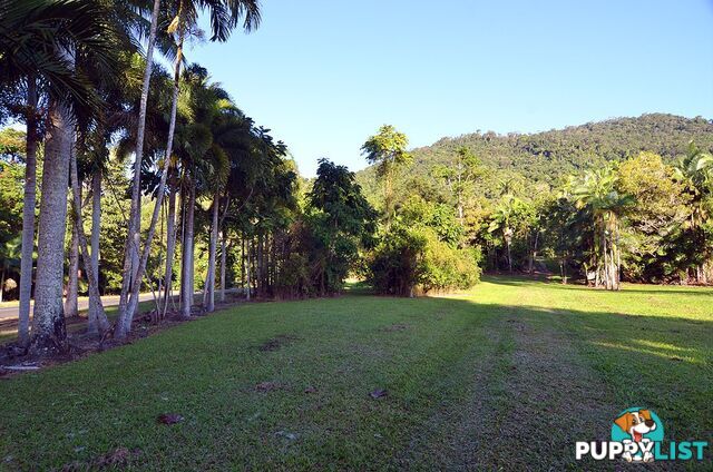 Lot 100 Finlayvale Road, Finlayvale MOSSMAN QLD 4873