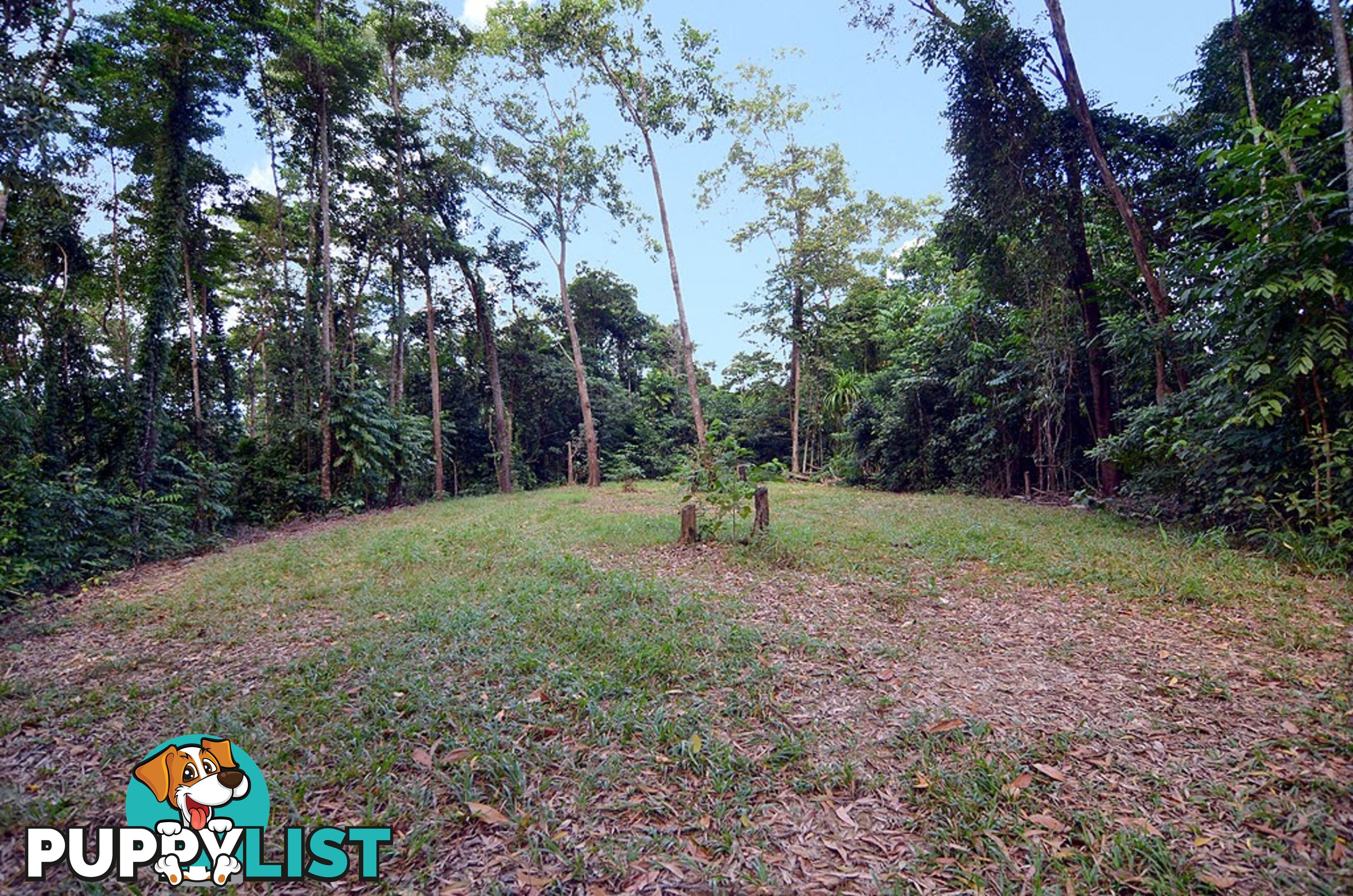 Lot 100 Finlayvale Road, Finlayvale MOSSMAN QLD 4873