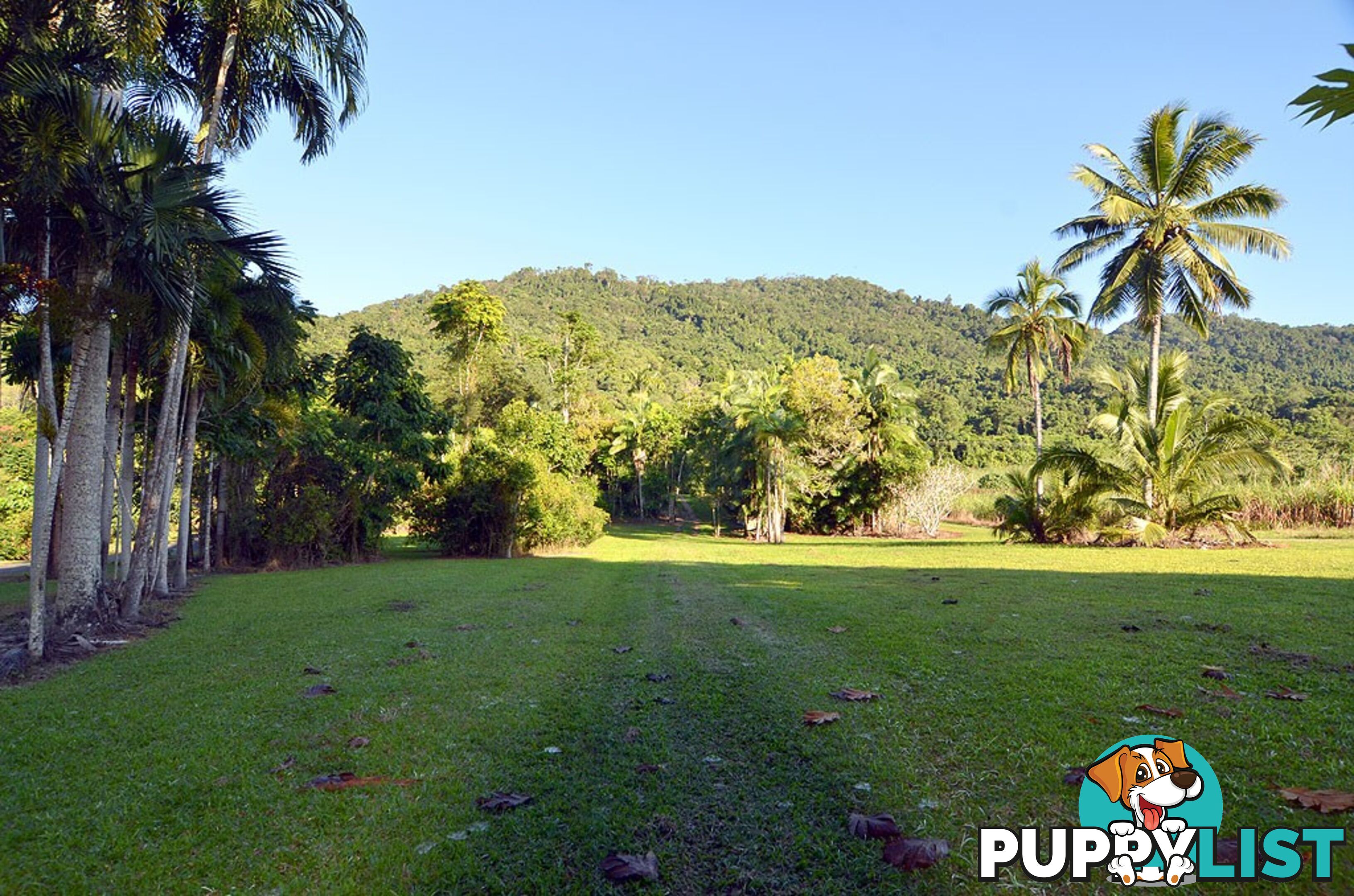 Lot 100 Finlayvale Road, Finlayvale MOSSMAN QLD 4873