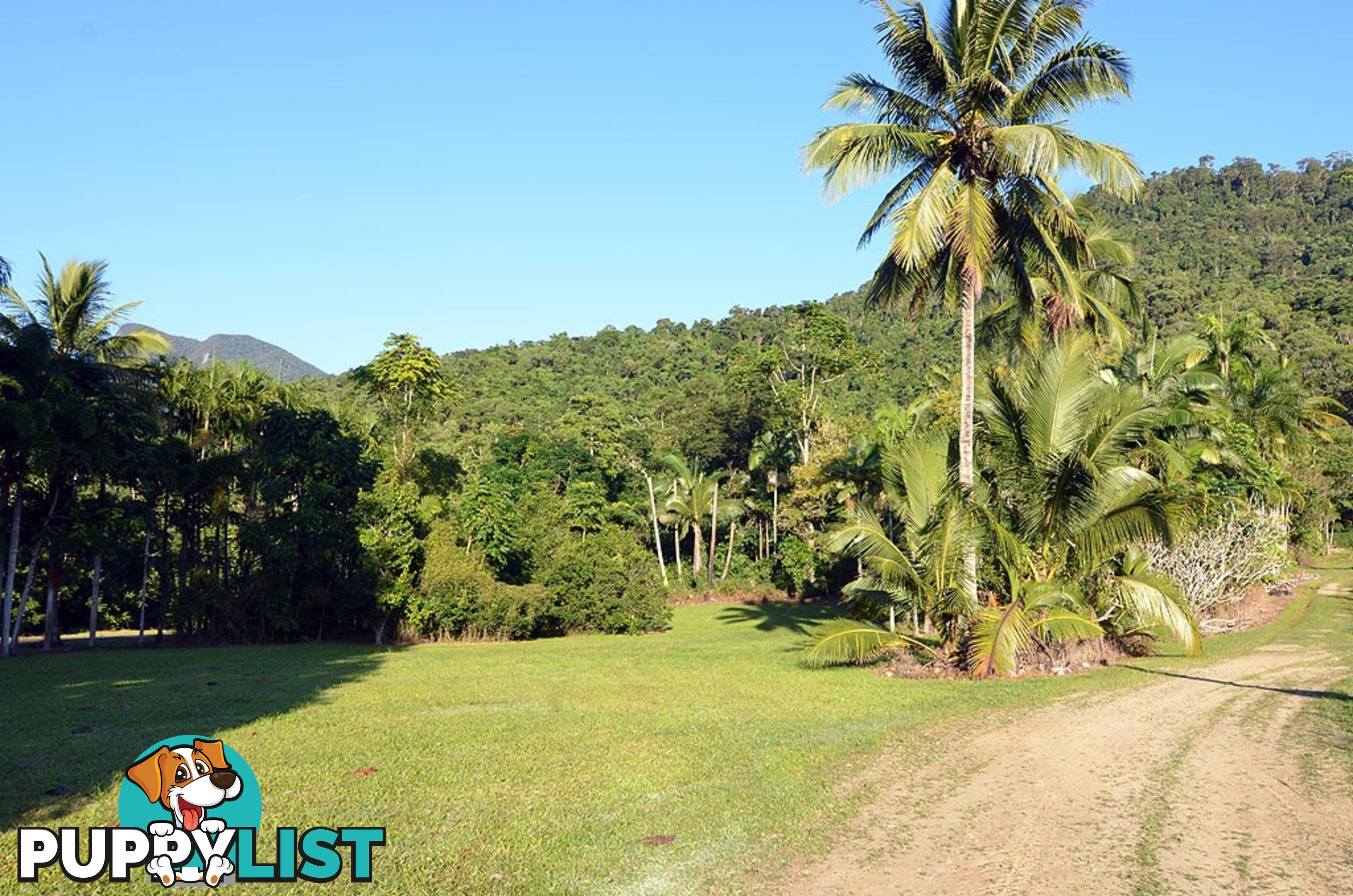 Lot 100 Finlayvale Road, Finlayvale MOSSMAN QLD 4873