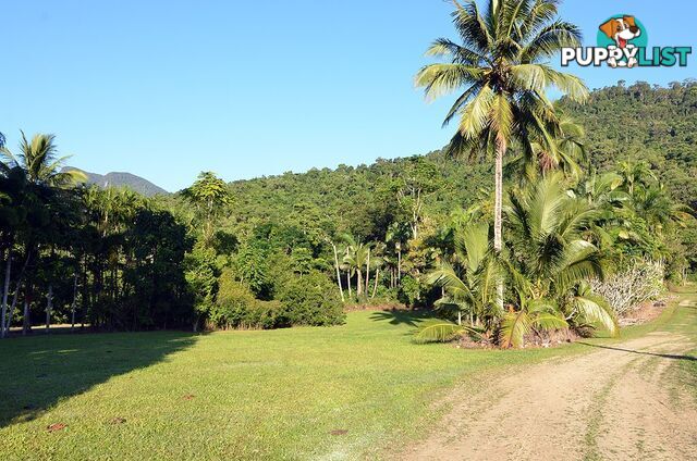 Lot 100 Finlayvale Road, Finlayvale MOSSMAN QLD 4873