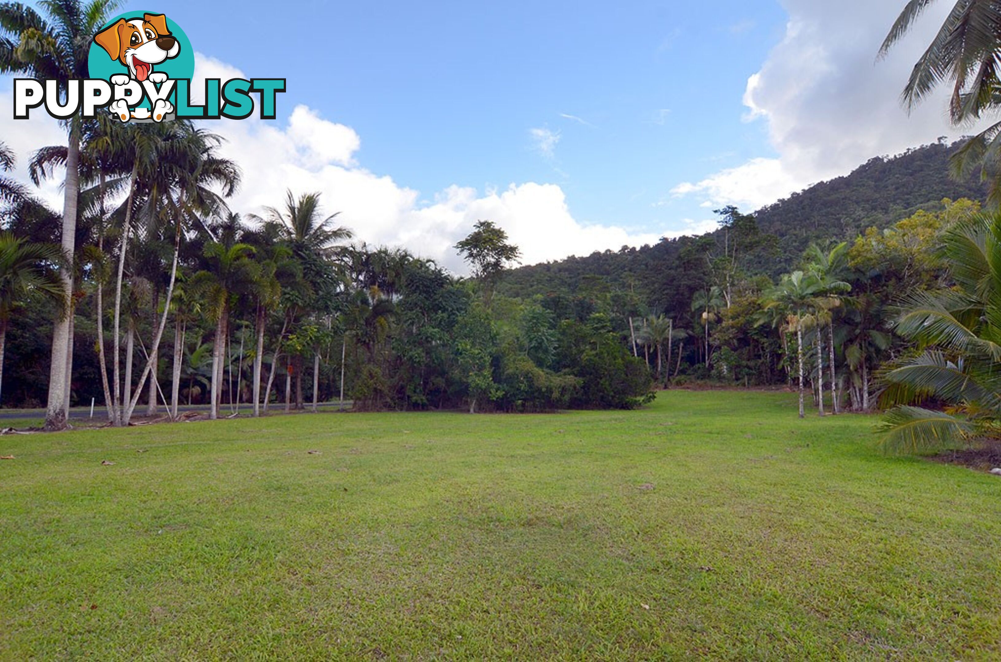 Lot 100 Finlayvale Road, Finlayvale MOSSMAN QLD 4873