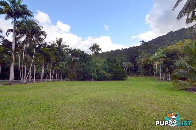 Lot 100 Finlayvale Road, Finlayvale MOSSMAN QLD 4873