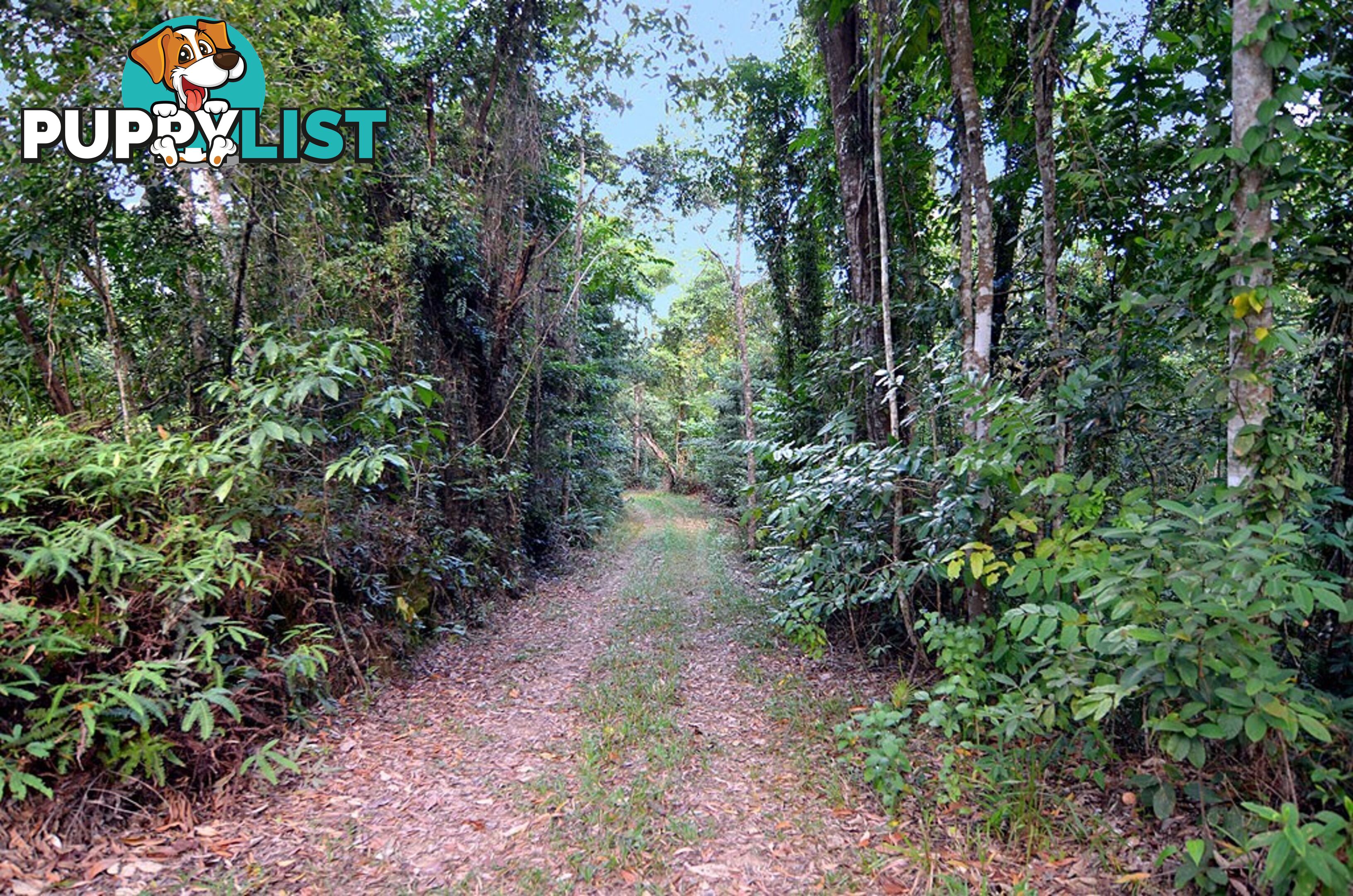 Lot 100 Finlayvale Road, Finlayvale MOSSMAN QLD 4873