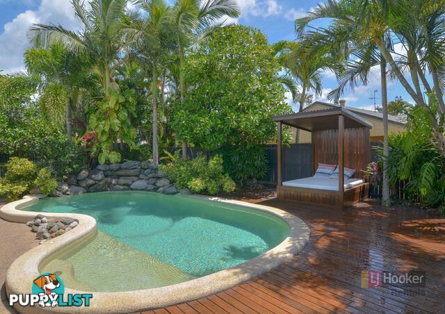 13 Birdwing Street PORT DOUGLAS QLD 4877