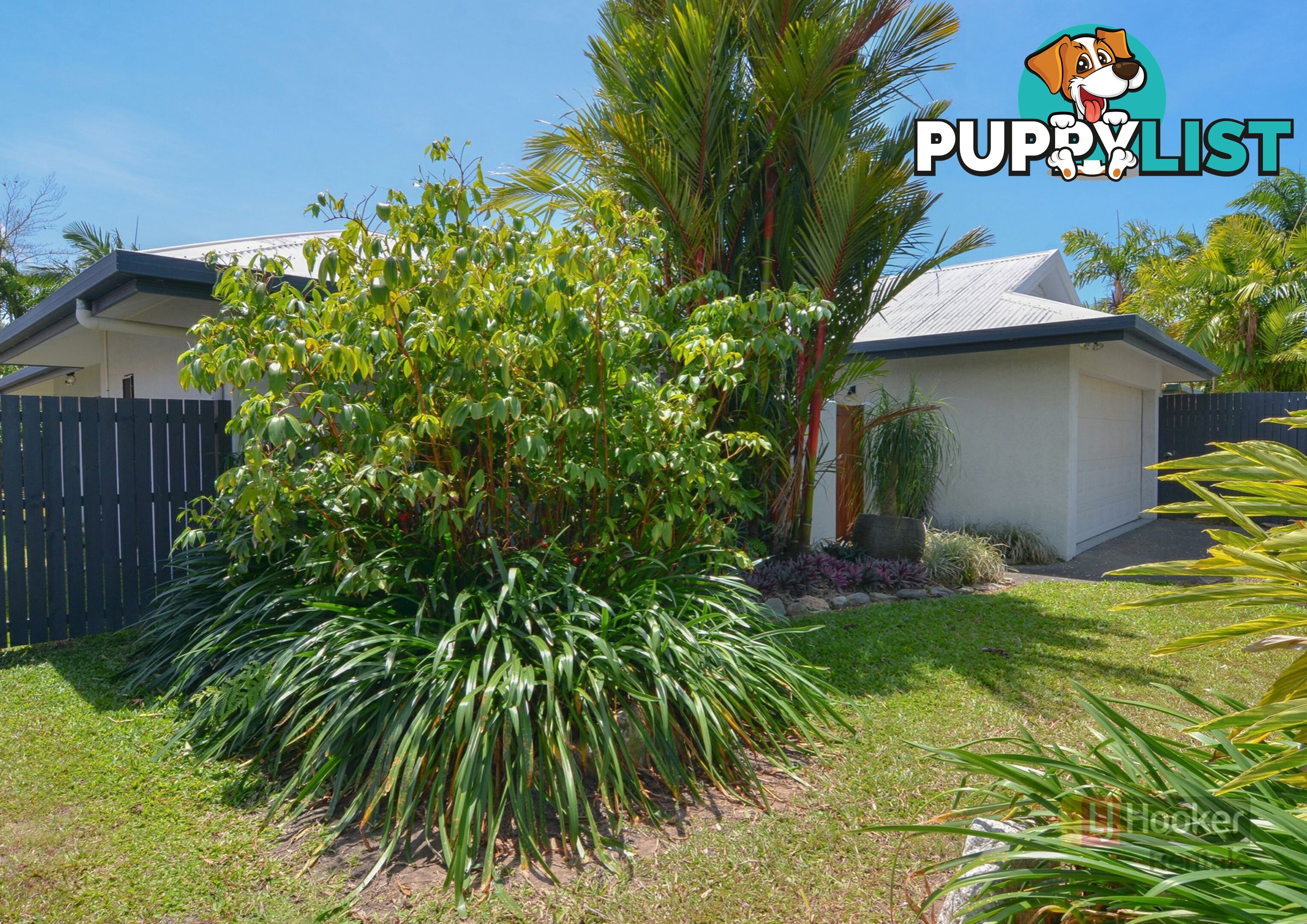 13 Birdwing Street PORT DOUGLAS QLD 4877