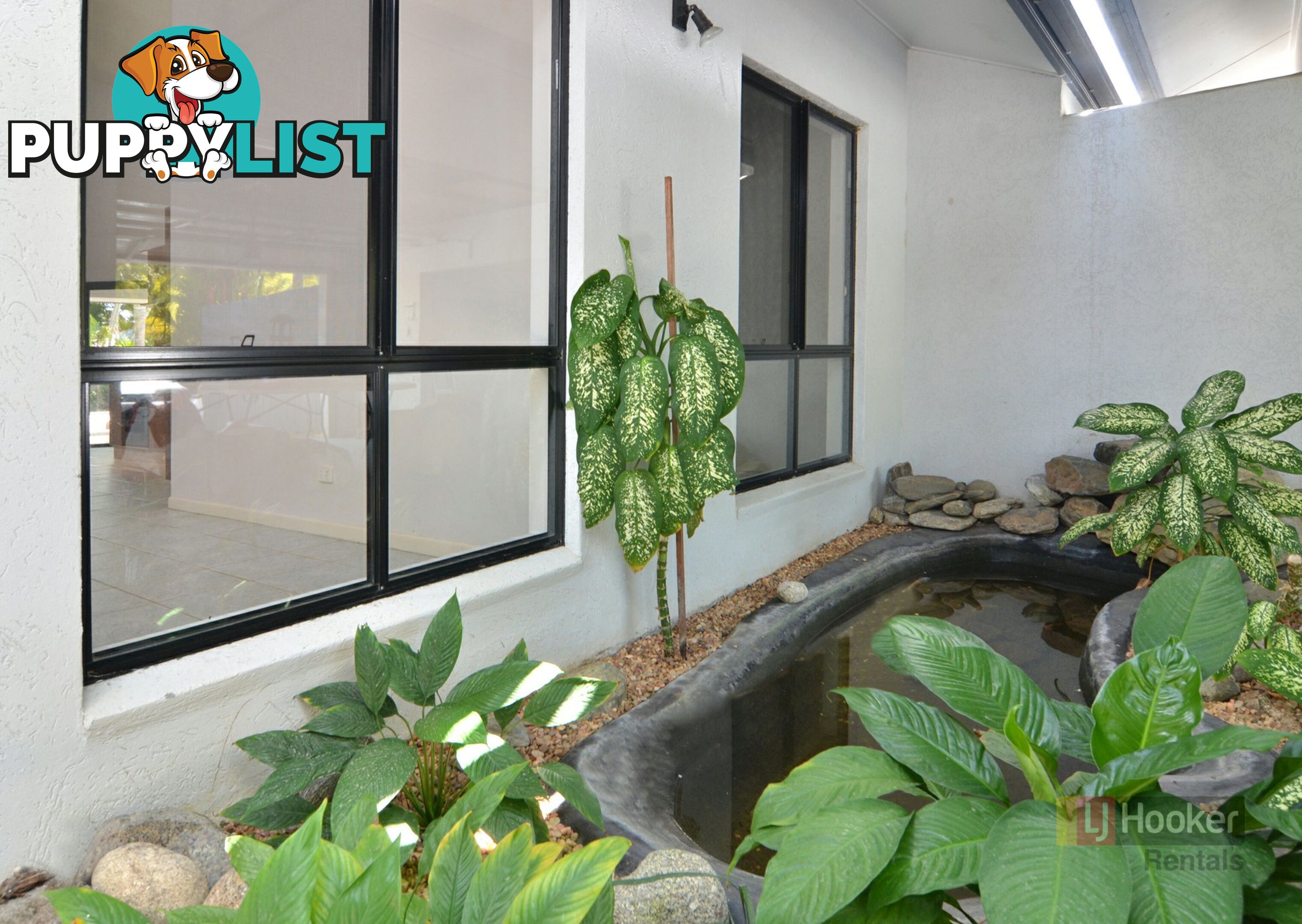 13 Birdwing Street PORT DOUGLAS QLD 4877